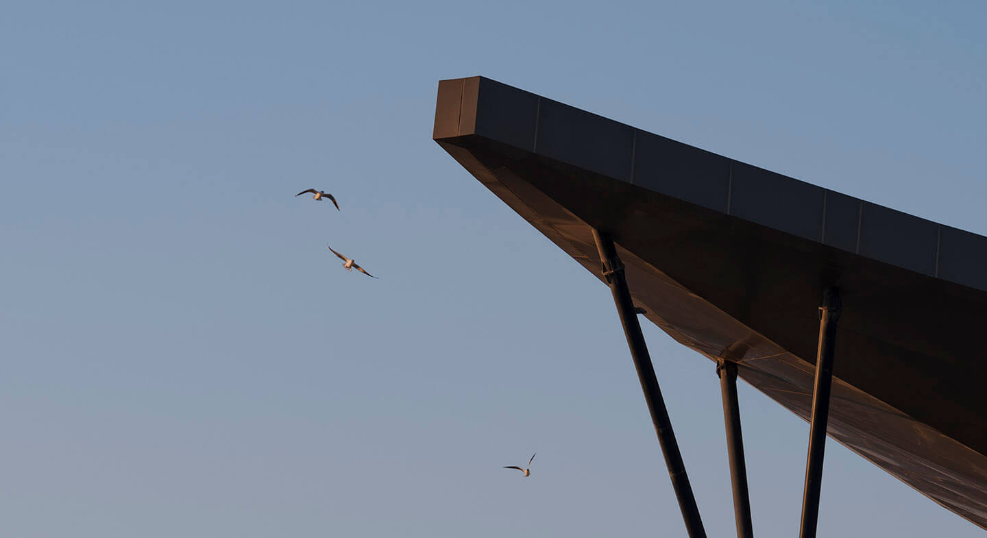 Birds flying over Al Dana Amphitheatre in the Sakhir desert, a one-of-a-kind and multi-purpose entertainment and events venue.